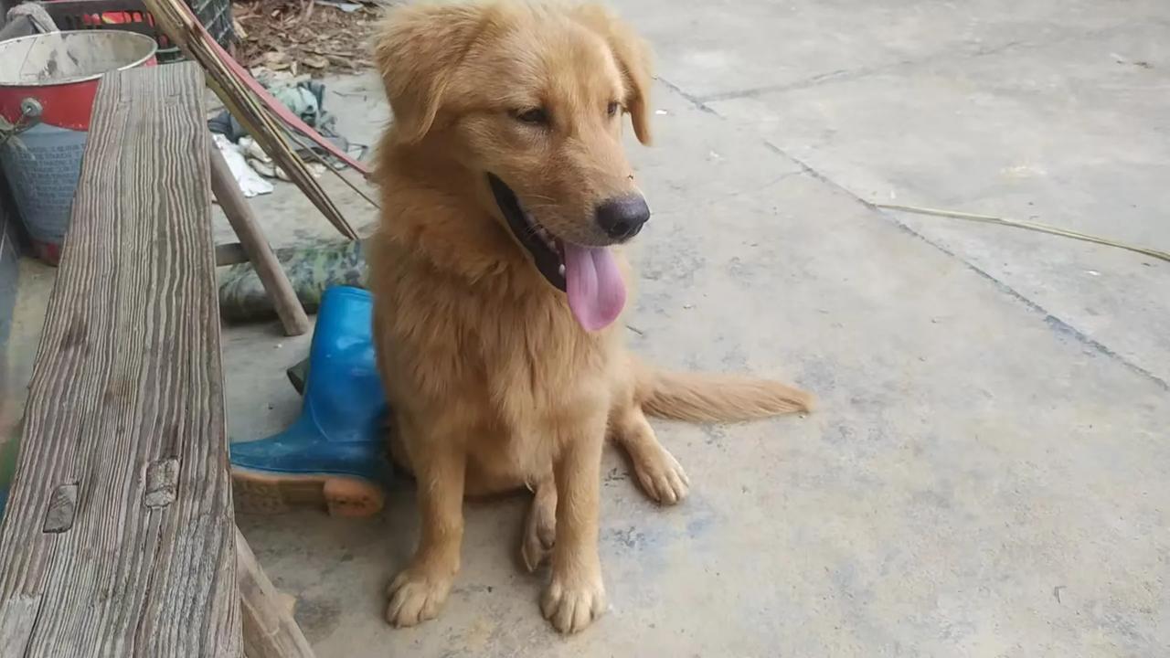 爸爸刚刚给我打了个电话，让我在外面开车小心点，不要开快车，开慢点耗点油无所谓，开