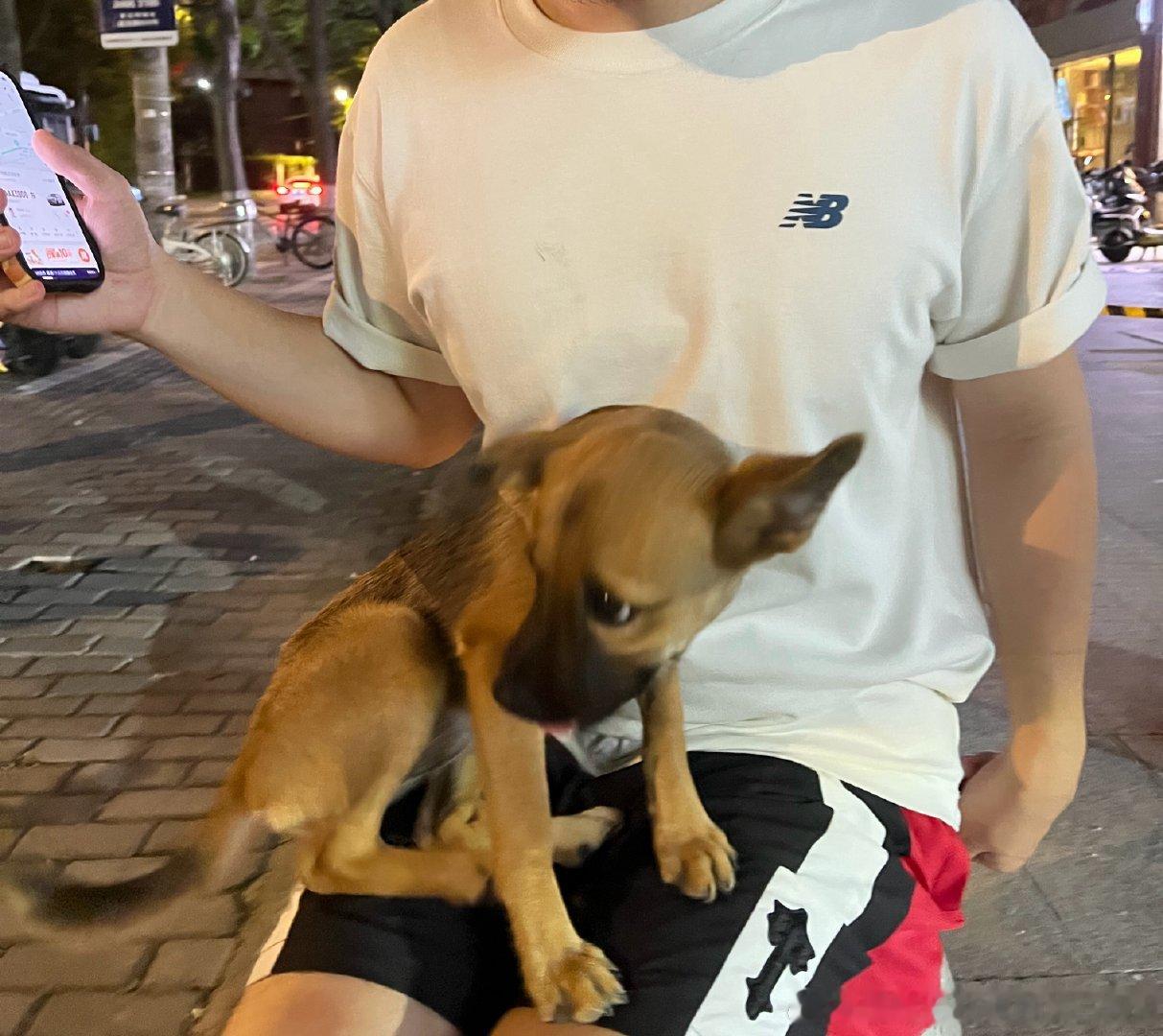 一下子就跳到我身上来了 