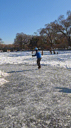 看过蹲着滑的单腿驴，也看过坐着滑的单腿驴，唯独第一次看到站着滑的单腿驴！
这是东