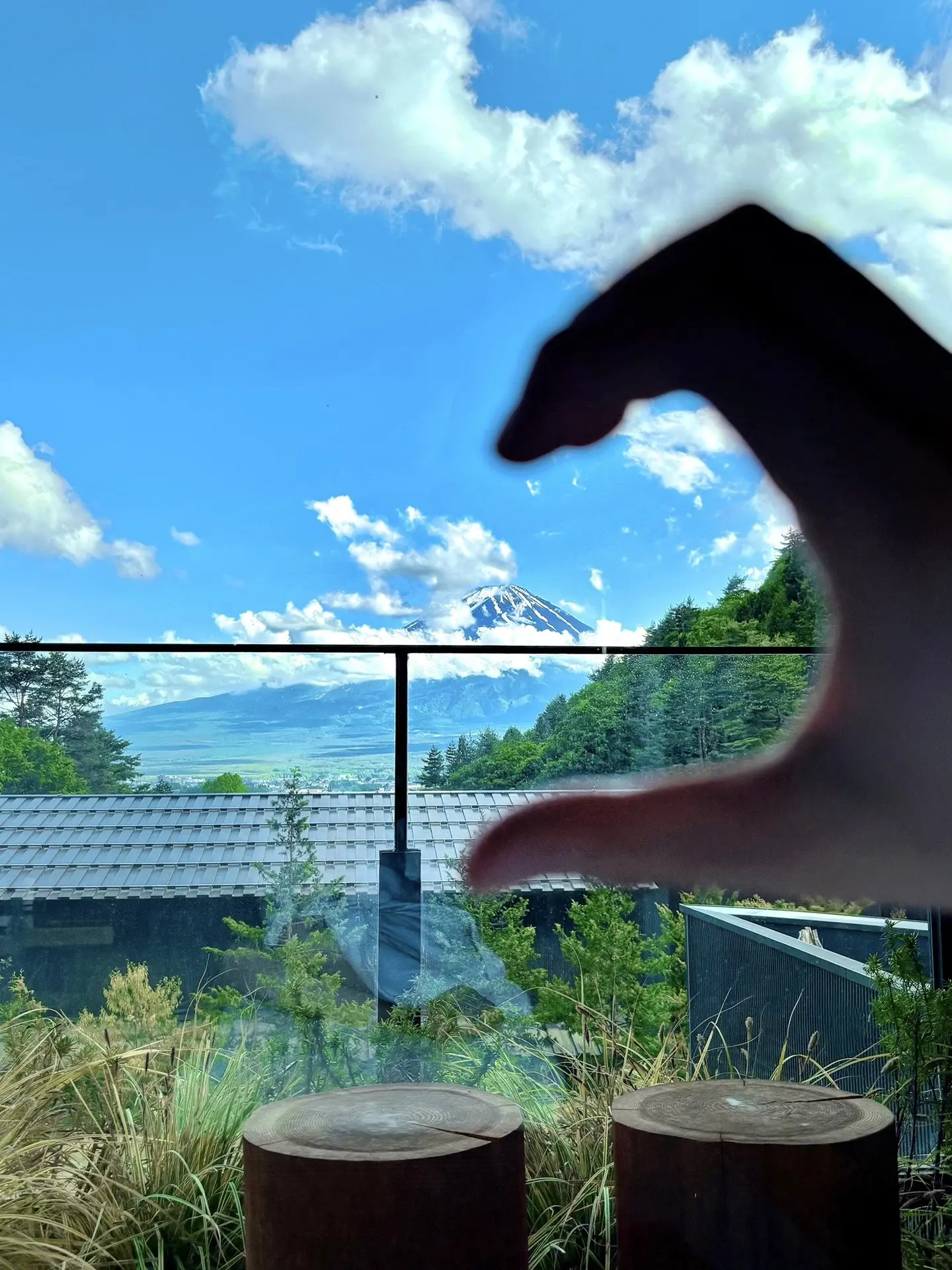 我决定重新爱上阳光 空气 白开水