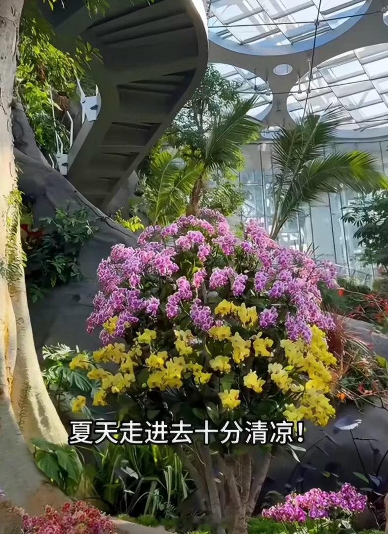 这个夏天上海最凉快的地方出现了夏日上海出门全是热浪，6个地铁直达室内清凉场馆推荐