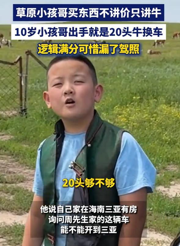 说小孩儿哥笨吧，小孩儿哥还知道用牛换车说小孩儿哥聪明吧，小孩儿哥是真不知道一头牛