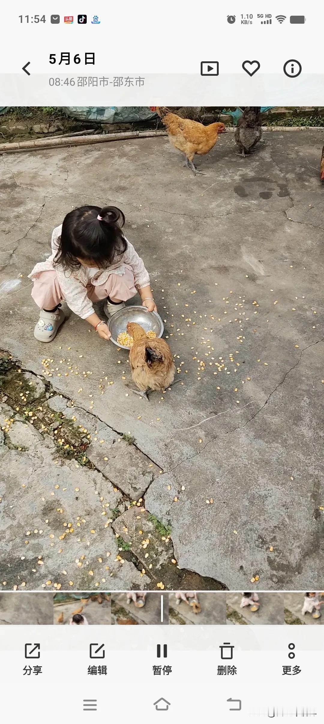 这个问题难不住我：“它们有翅膀哈”。“那咯咯鸡有翅膀怎么飞不起来？”又把我难住了