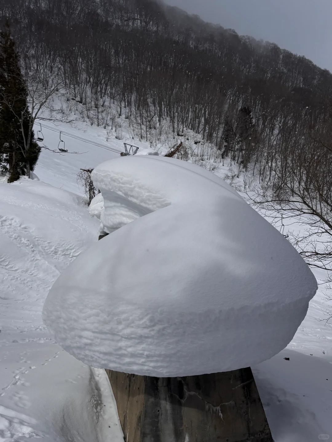 白马滑雪场惊现特朗普