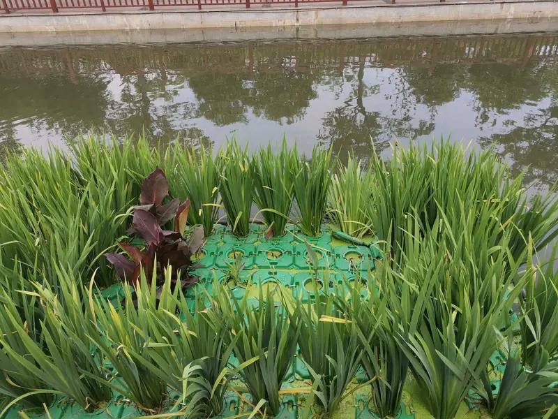 银川市建设综合海绵生态体系这事太牛了！作为全国第二批海绵城市建设示范城市，它以黄