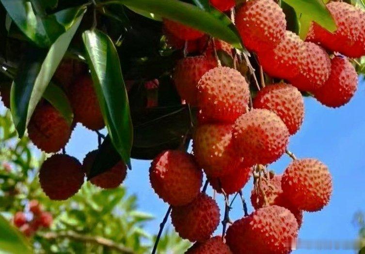 这年头身材保养到好不好且不去说，最最最要紧的是健康，瞎锻炼也不是办法，忌口也不是