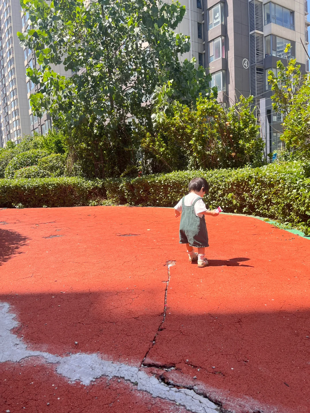 不走寻常路，就爱去太阳地的崽～