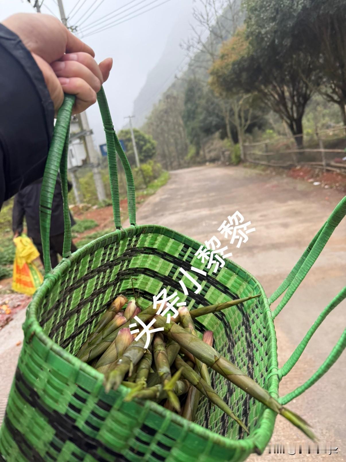 既然去不了诗和远方，那就回家去山里拔新鲜的小竹笋，感受春天的小美好。
如果厌倦了