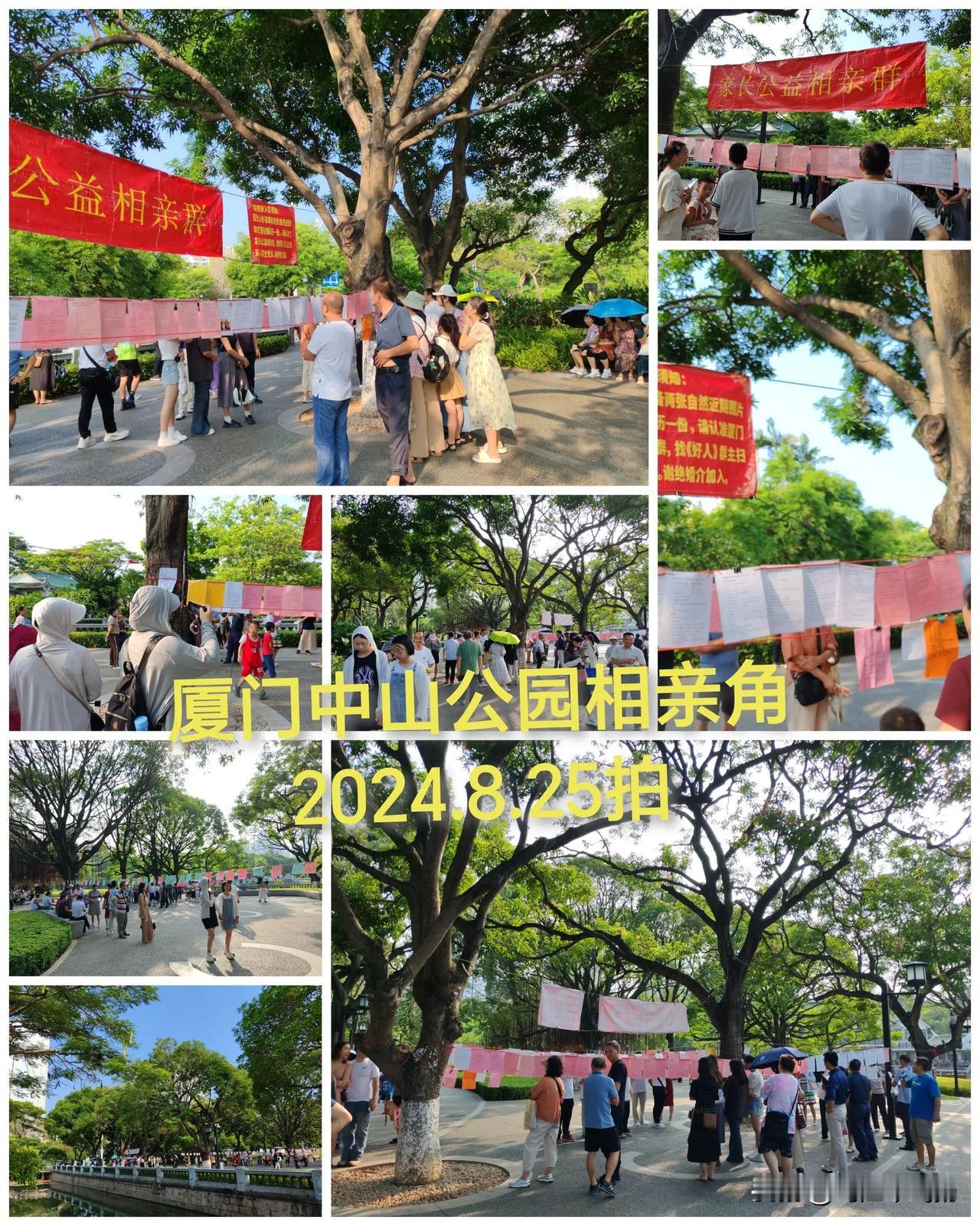 #厦门随手拍摄# 2024.8.25今天下午，厦门中山公园相亲角，人不少！
公安