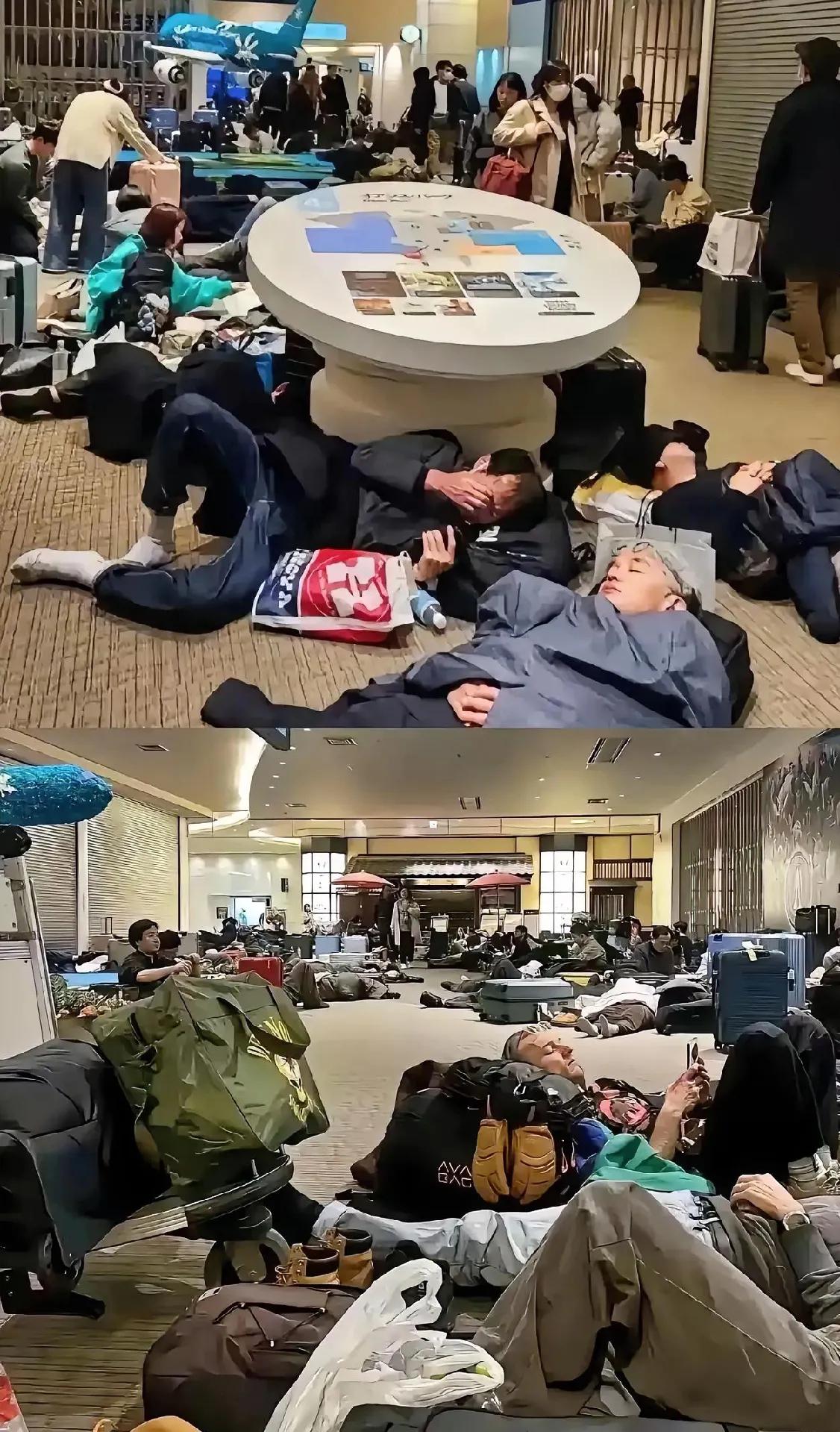 笑不活了！樱花游变滞留记！
各路旅行团扯着“樱花最后几天”疯狂催单，中介心里门清