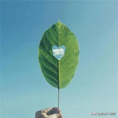 今天晚上又参加了个事宴，大学同学给孩子过十二岁生日了，这两三周，每个周末基本都有