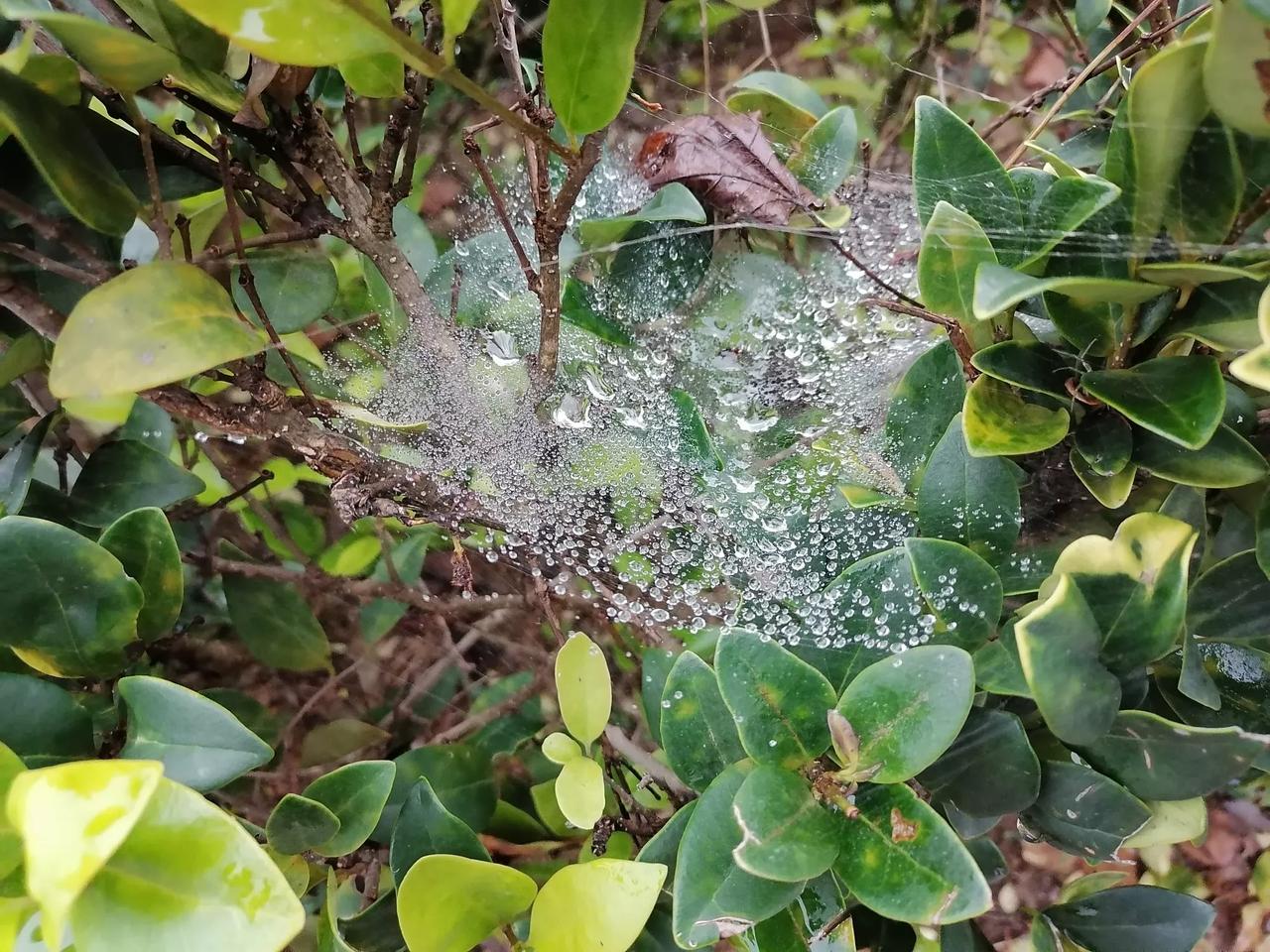 上联：一山一水一风景，如何对下联一花一叶一世界