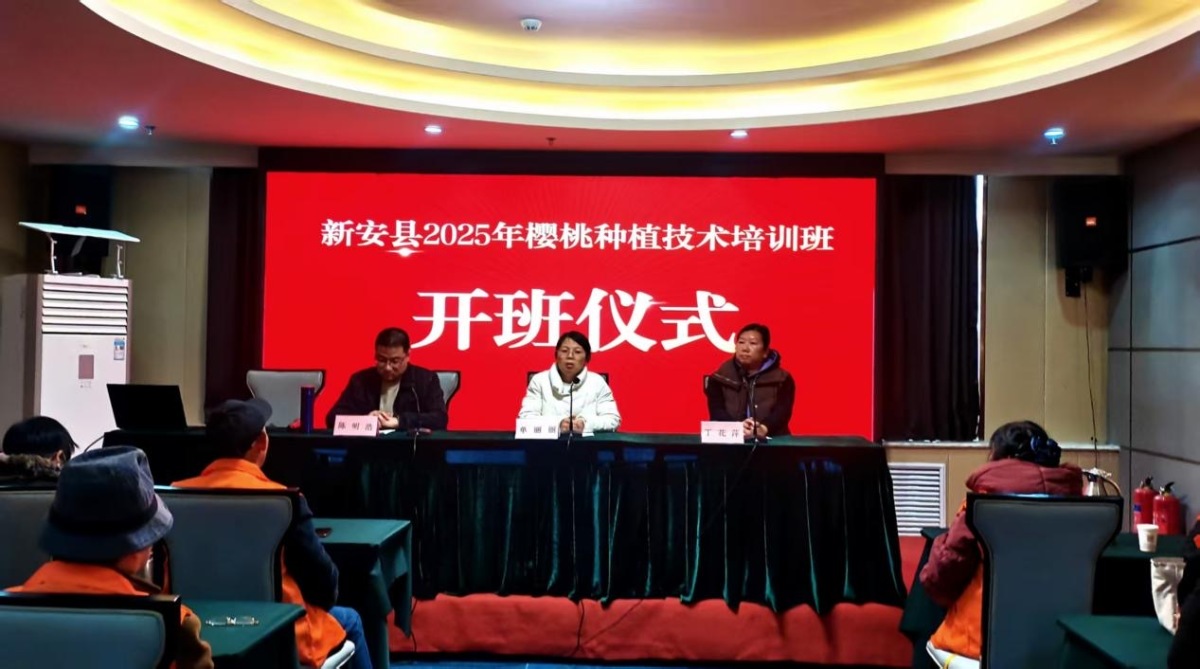 新安县2025年樱桃种植技术培训班正式开班