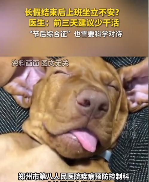 医生建议：上班前三天少干活！网友：推送给老板们了吗？

国庆刚过，不少人还没从 