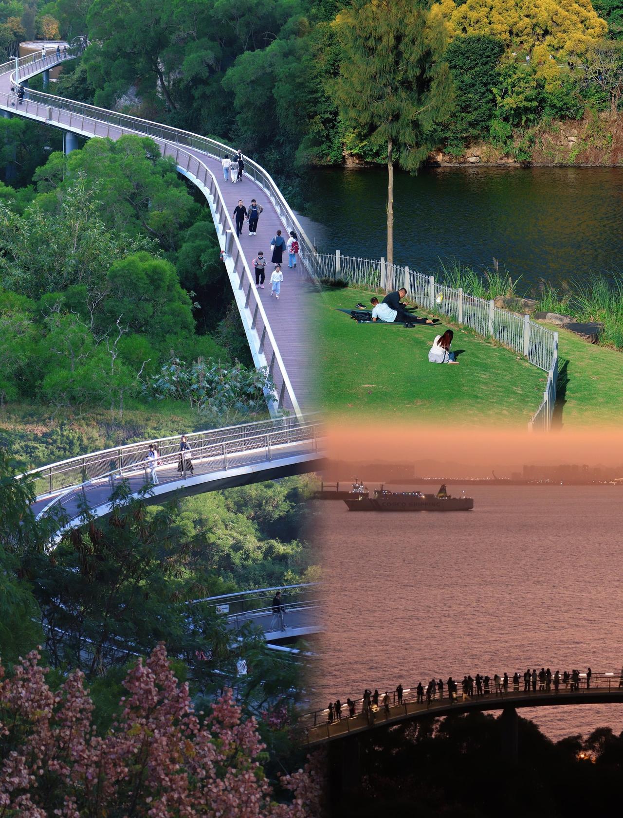 从厦门绿意出发，奔赴山海日落🌇
📍厦门 
厦门12月仍藏治愈“绿野仙踪”。无