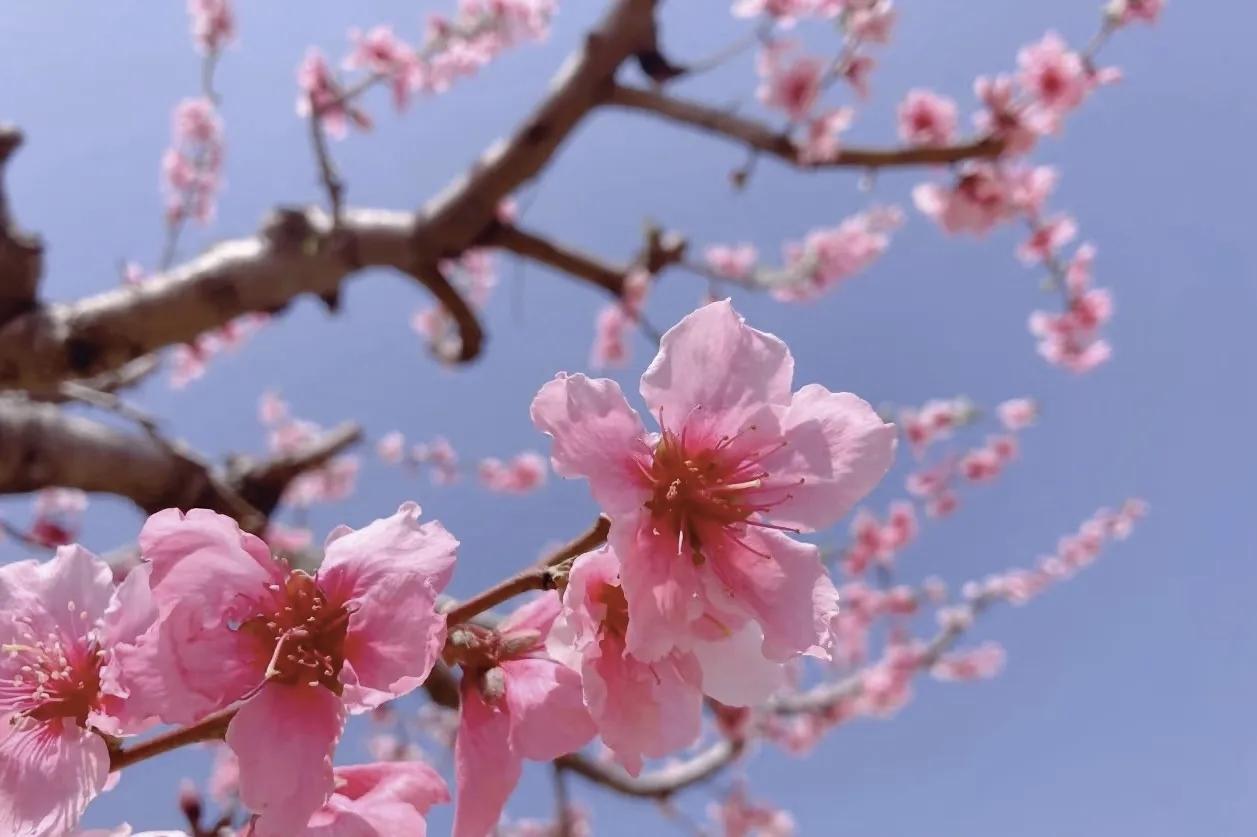【心若向阳，何惧浮云遮望眼；人若知足，便觉人间处处甜】
        “心若向