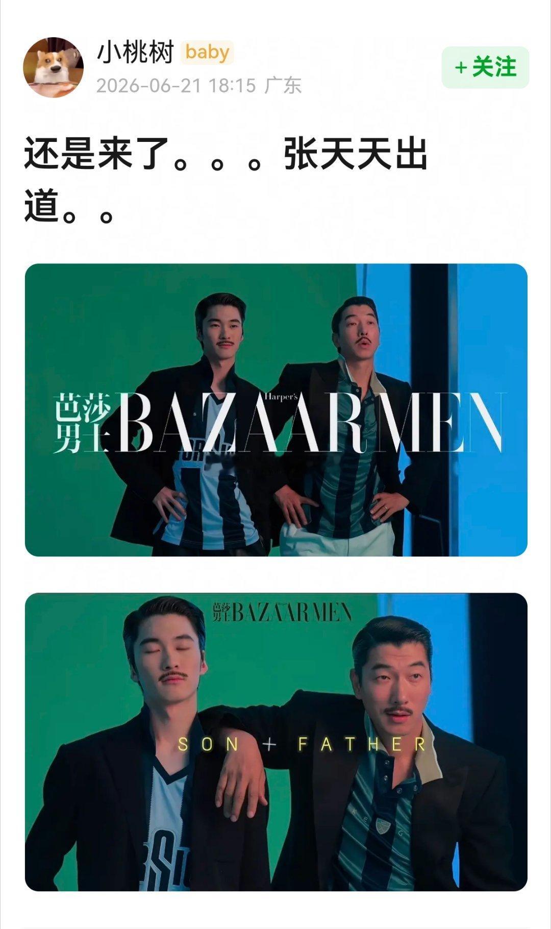 天天出道了。。。