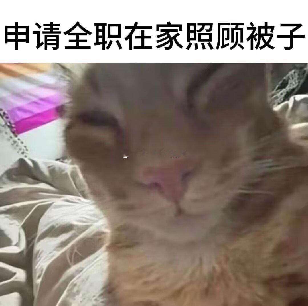 请批准 