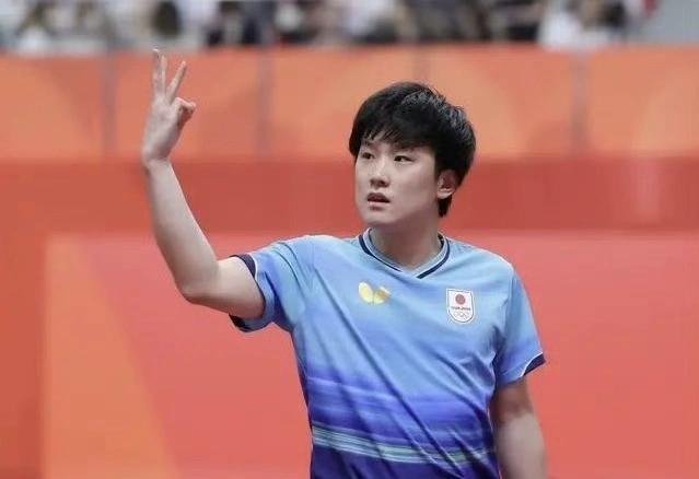 为什么张本智和的风评好起来了？

直白地说，因为这是竞技体育，竞技体育就是慕强！