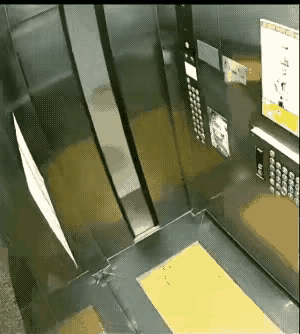 电梯门缓缓开启，女生将家中垃圾放入电梯，随后关上电梯门……显而易见，这位女生十分