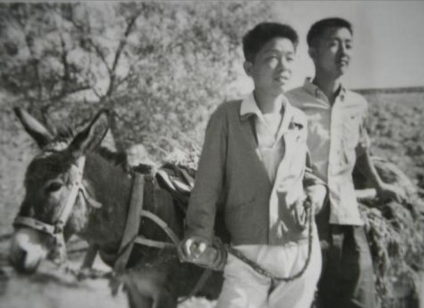 1970年，17岁知青偷吃老乡2只鸭子，老乡大怒：“赔钱，20块钱一分都不能少！