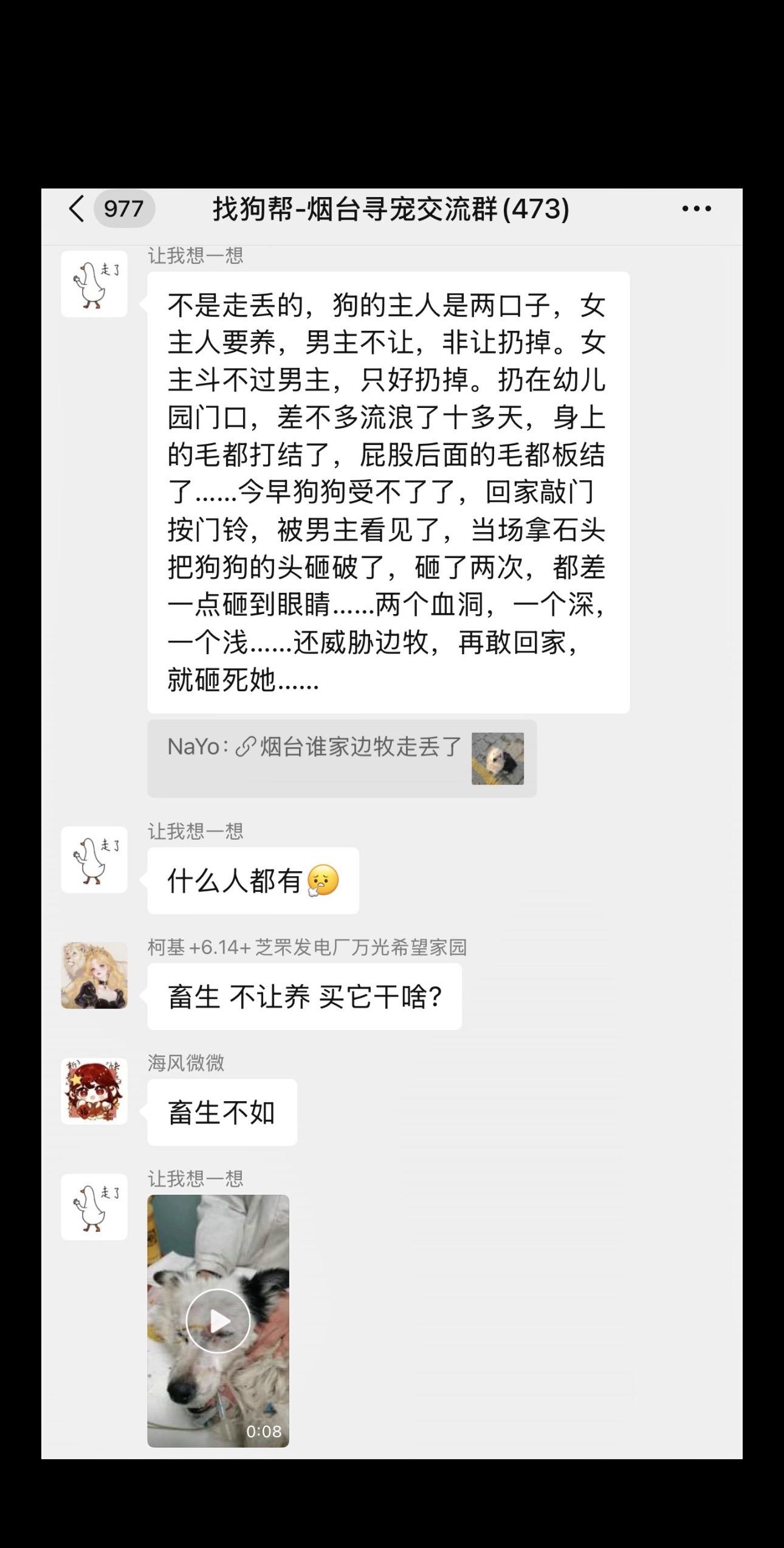 小狗的小脑袋怎么想也想不明白 他到底做错了什么 怎么惹主人不开心了 为...