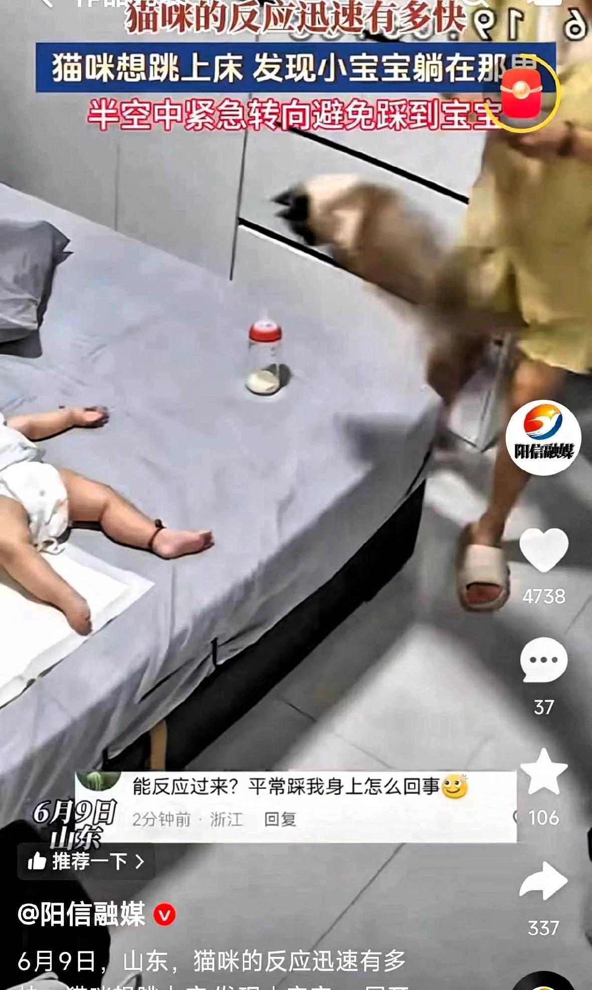 山东，一只猫咪想跳上床，腾空那一刻突然发现小主人躺在床上，硬是在半空中强行拐弯，