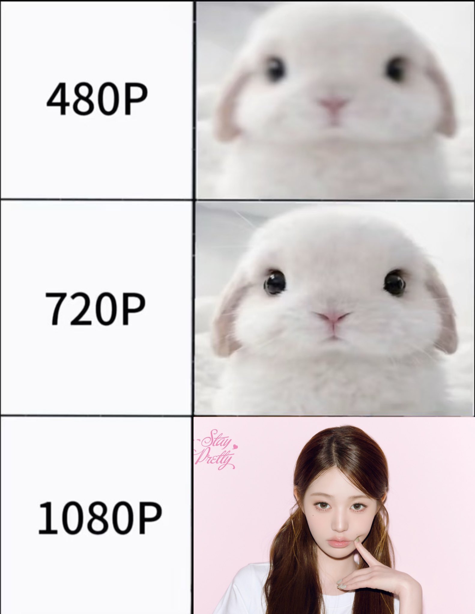 有点呆 