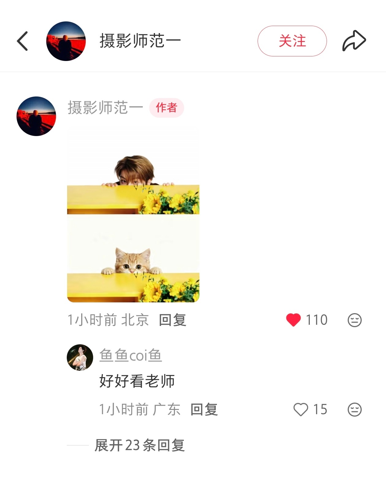 摄影老师也是猫塑来的！ 
