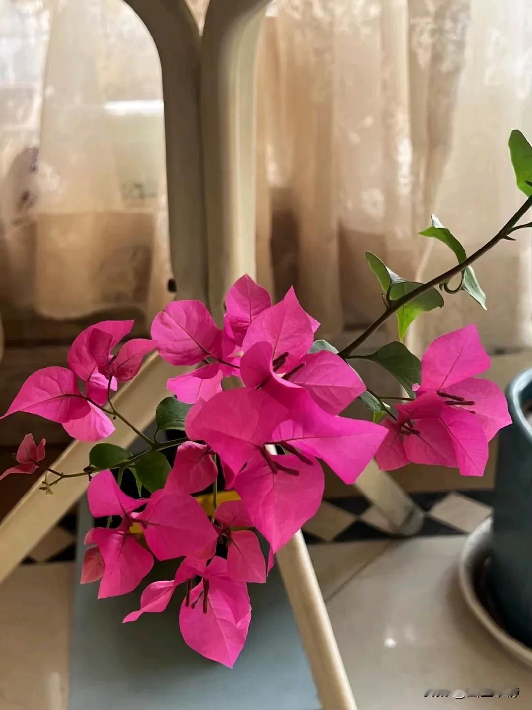 Some bad habits may seem ordinary , but 