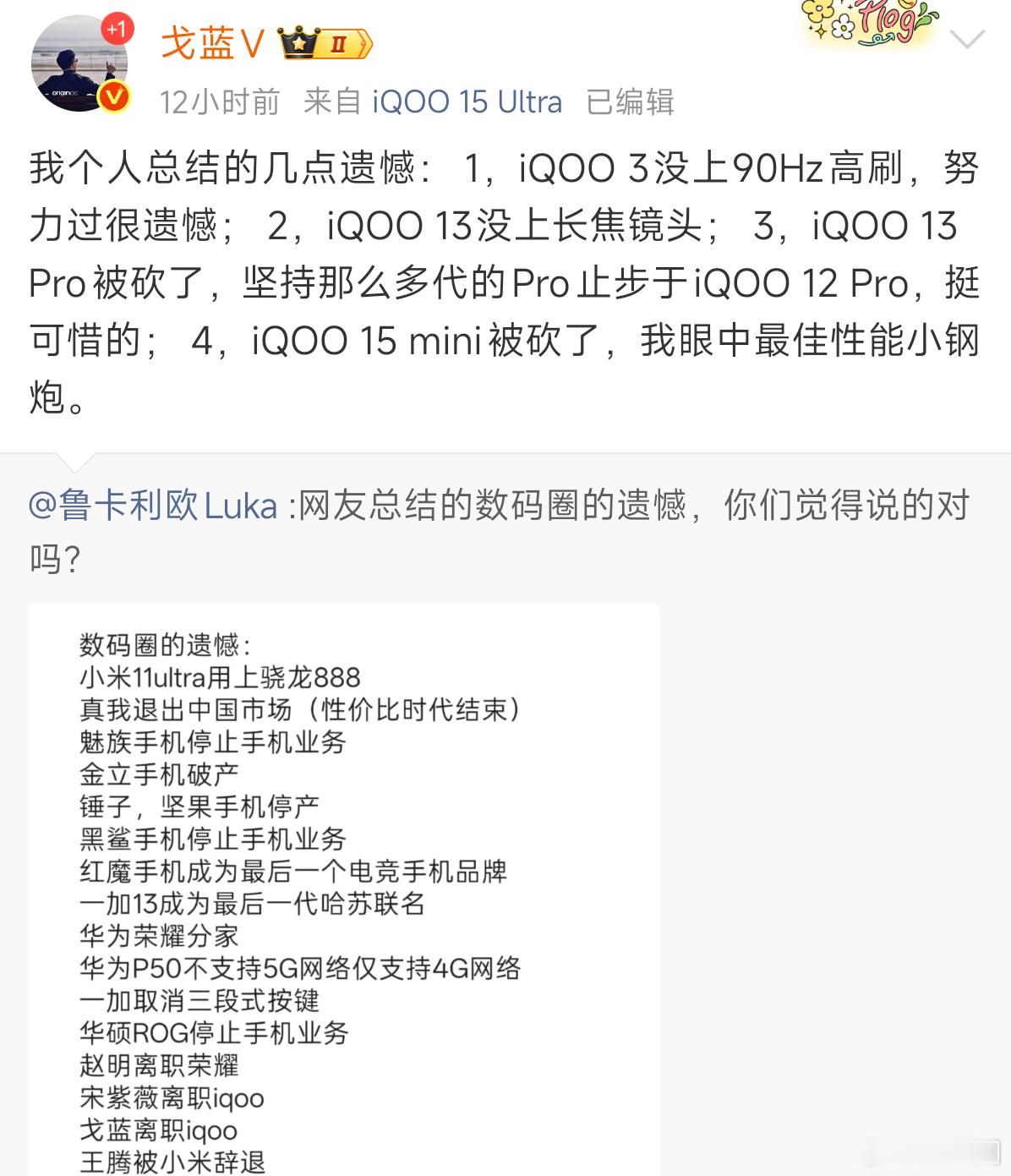 原来iQOO也有打算做小尺寸旗舰，iQOO 15 mini没做被砍了，不然可以和