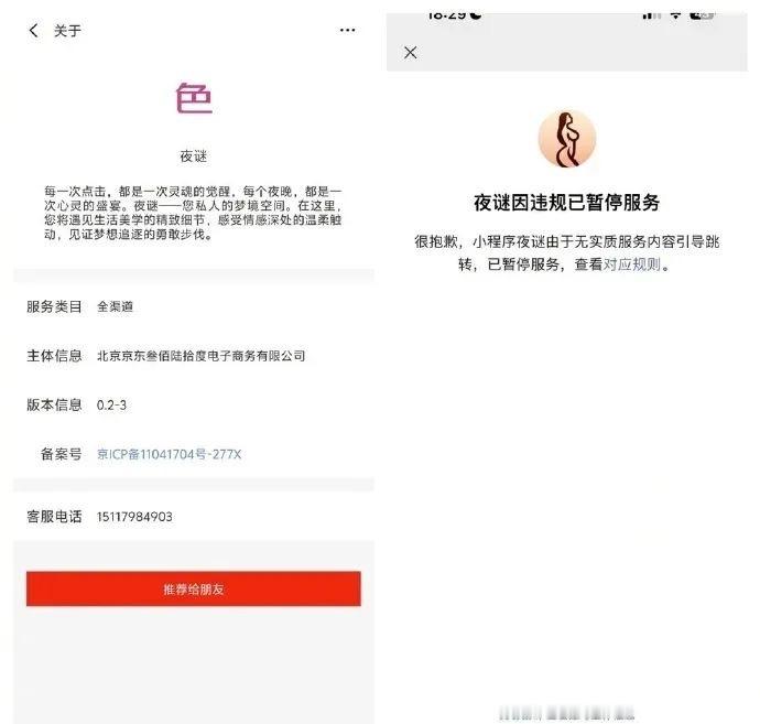 京东试水情趣用品行业的小程序“夜谜”，最开始小程序的介绍很sao气（图1），要不