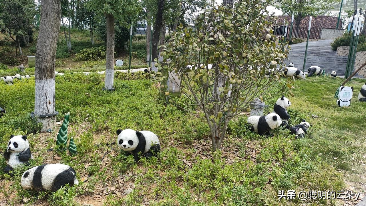 结论：至关重要，这是女人立足的底气与自由的基石。
 
经济独立，是打破依附桎梏的