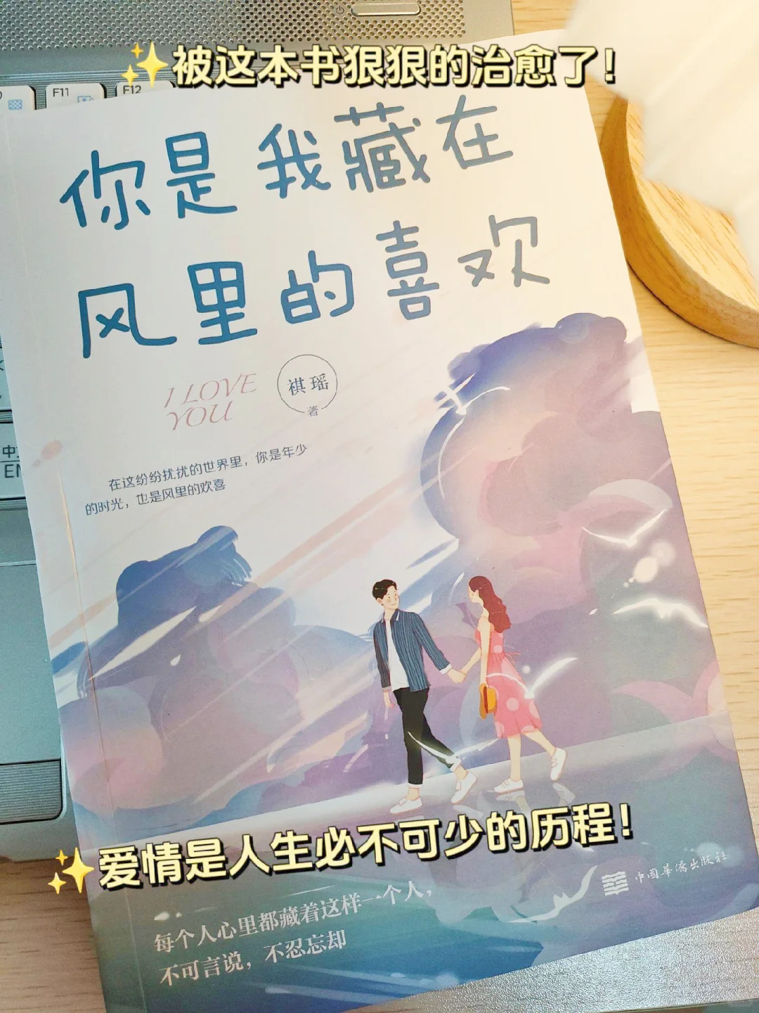 《你是我藏在风里的喜欢》