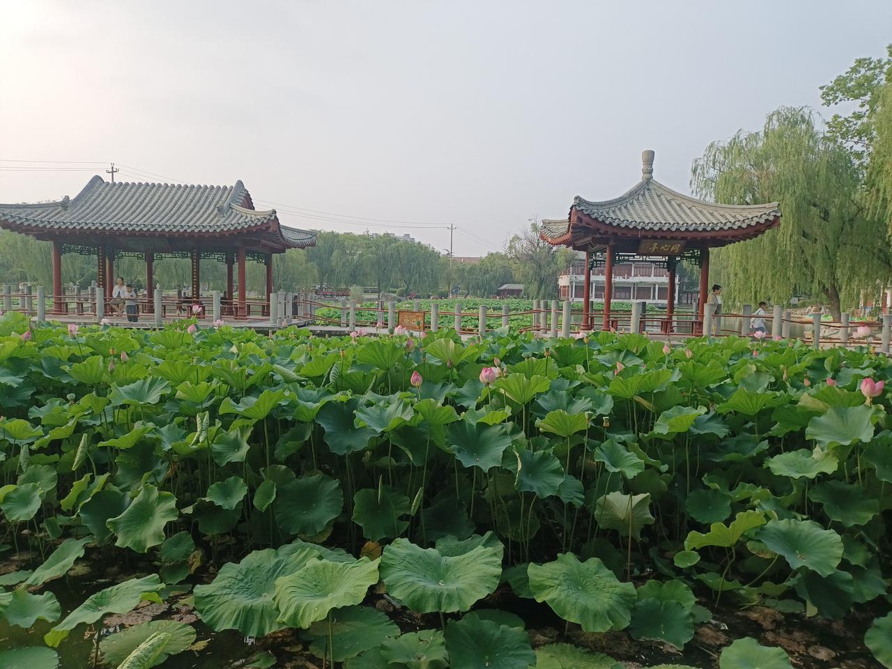 现在的人练习形意拳，
多走走三角步，
这个可以躲闪，可以击打，
随心情。
在现实