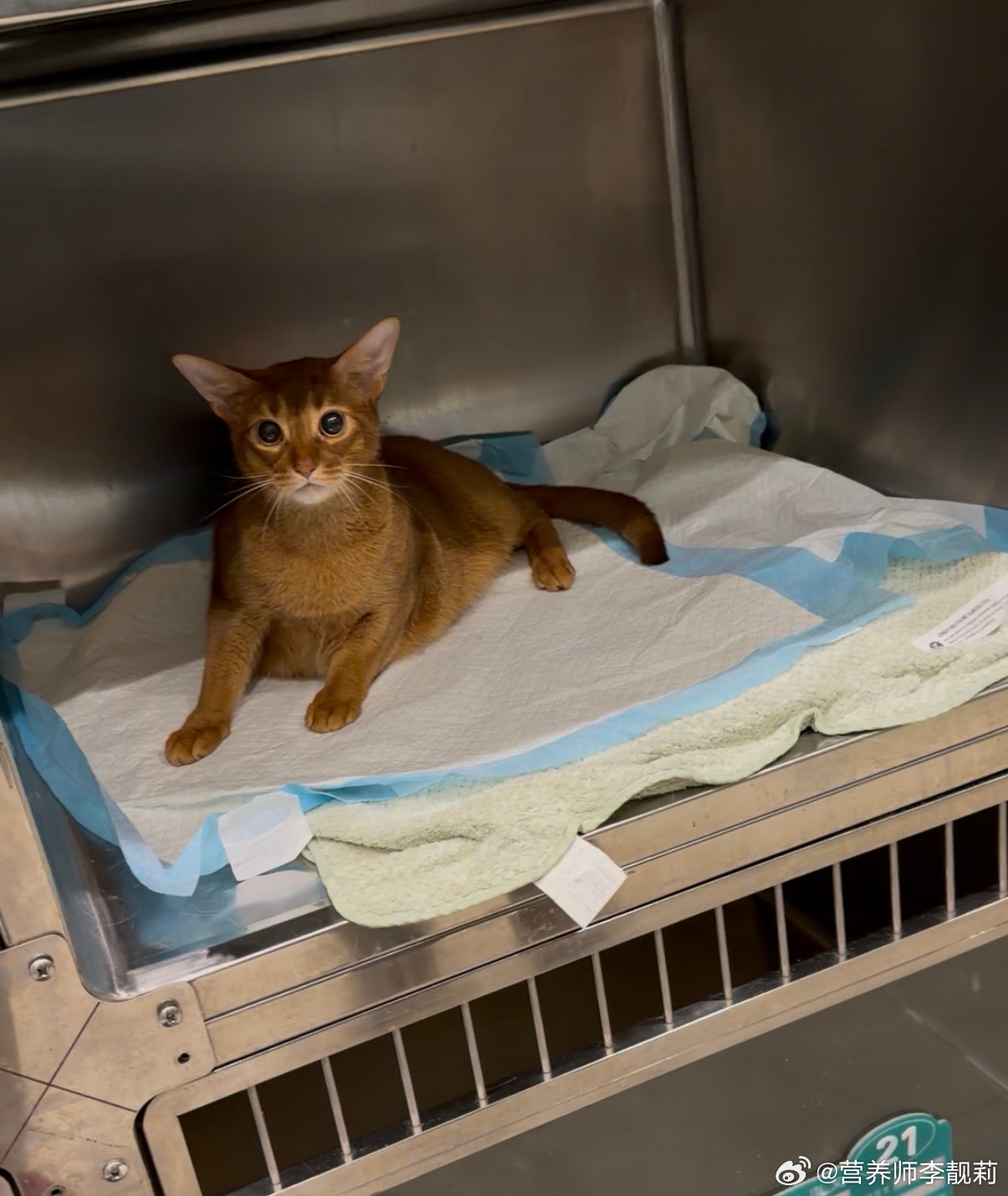 全麻洗了个牙🦷有点呆滞… 