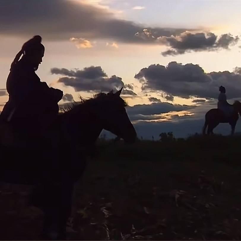 127家涨停，2.56万亿成交额；
深成指阶段性新高；
中证2000阶段性新高；