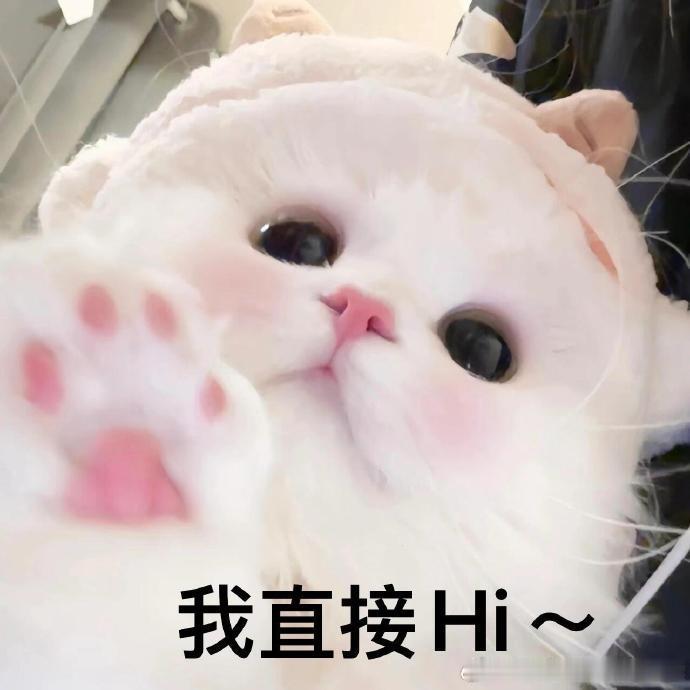 早上好～你是甜粽子派还是咸粽子派呢～大电竞分享