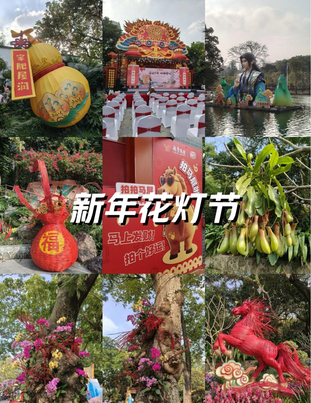 公园鸟语花香记
📍广州 广州市越秀公园
国色天香 好看的花一定要分享给你 公园