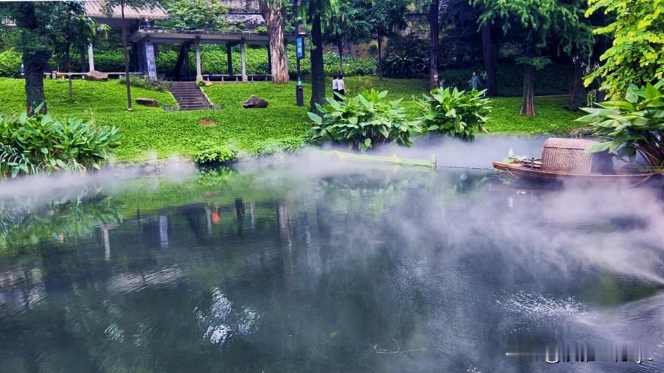 薄雾轻笼荷塘，恍若水墨画般的美丽。
【原创摄影】
拍摄地点：广州市越秀公园