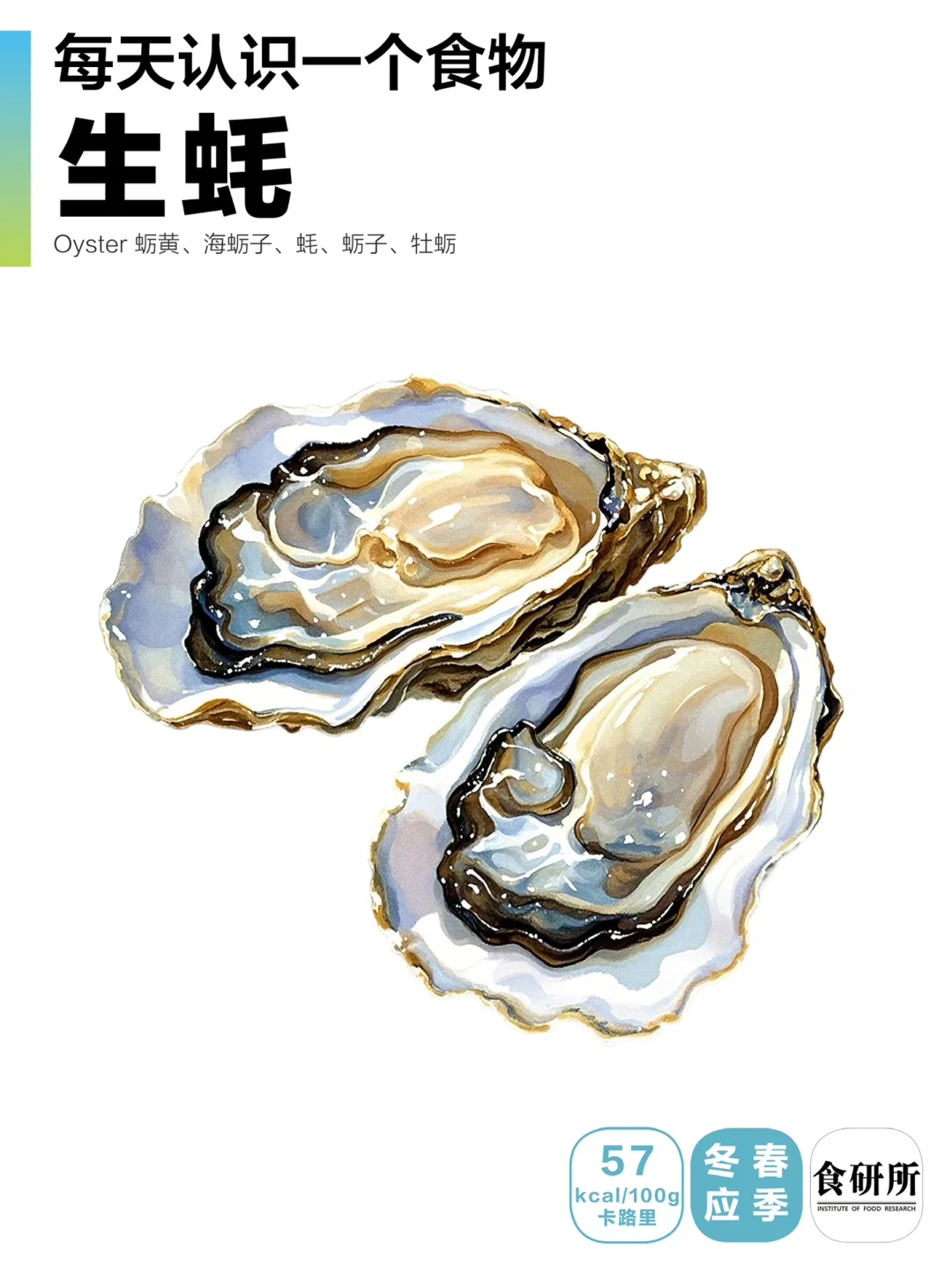 🌊🦪生蚝竟是海的香水瓶！