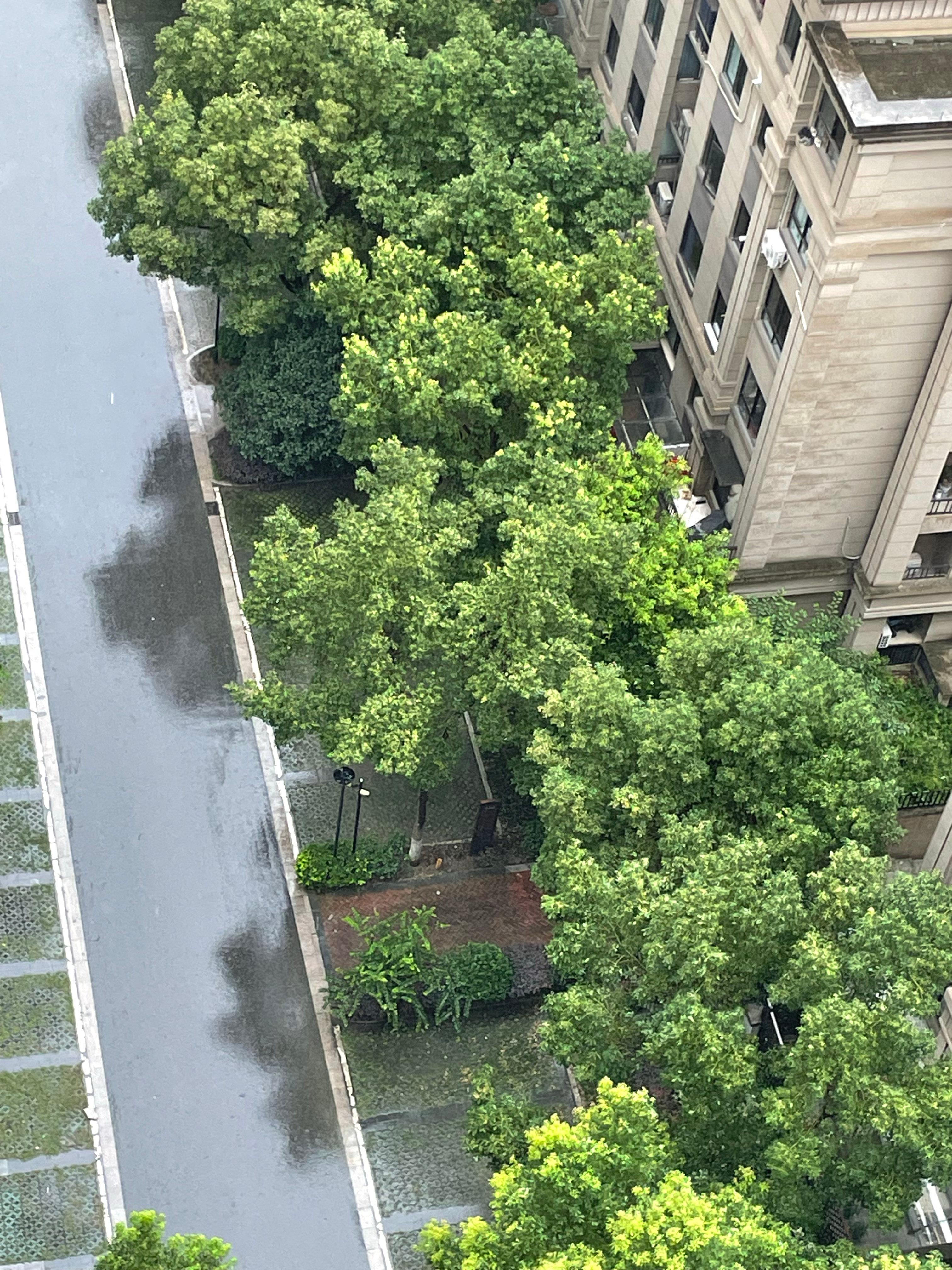 中央气象台发台风蓝色预警昨天夜里开始合肥就开始下雨了今天也是时不时的来一场虽然有