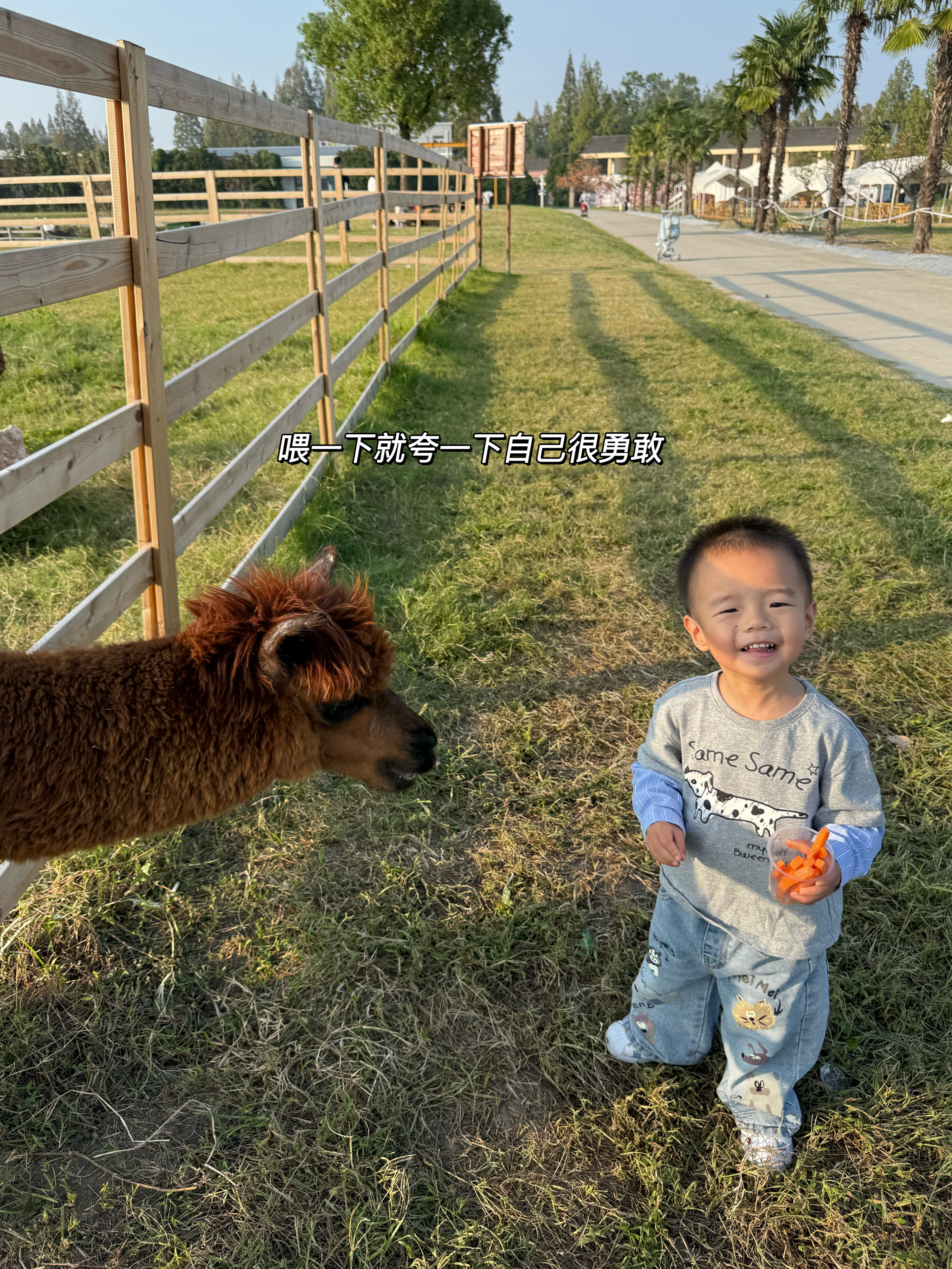 非常不错的晴天☀️ ​​​