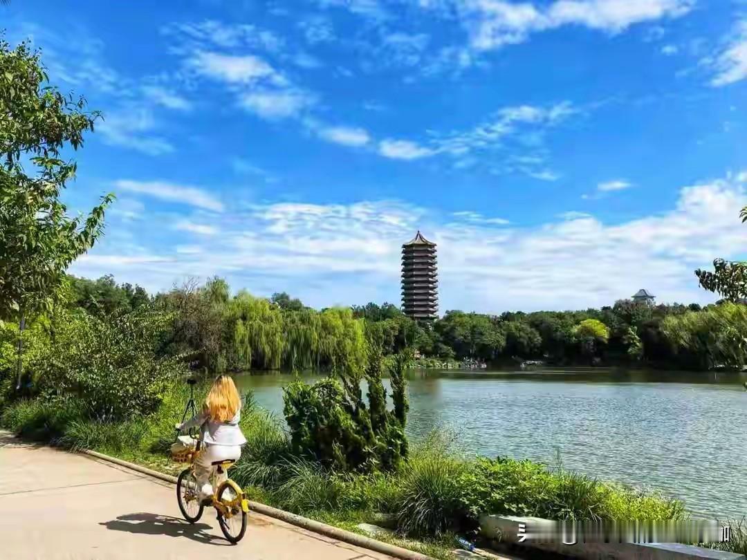 嗯，不用倒查我也知道，小黄车还欠霍爷我的押金没退呢。 ​​​