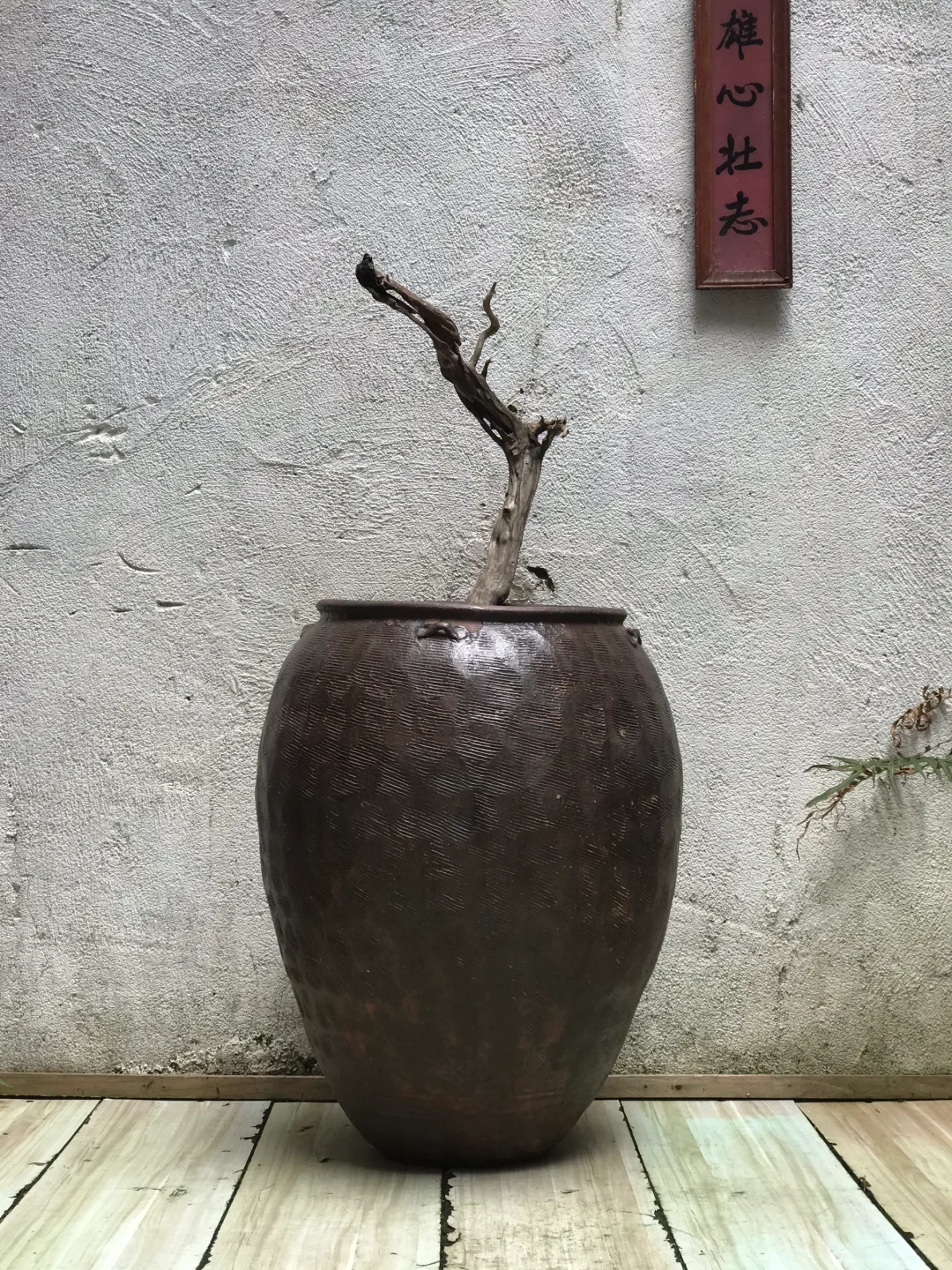 螺纹高罐；民宿、茶室极简侘寂摆件；养鱼荷花