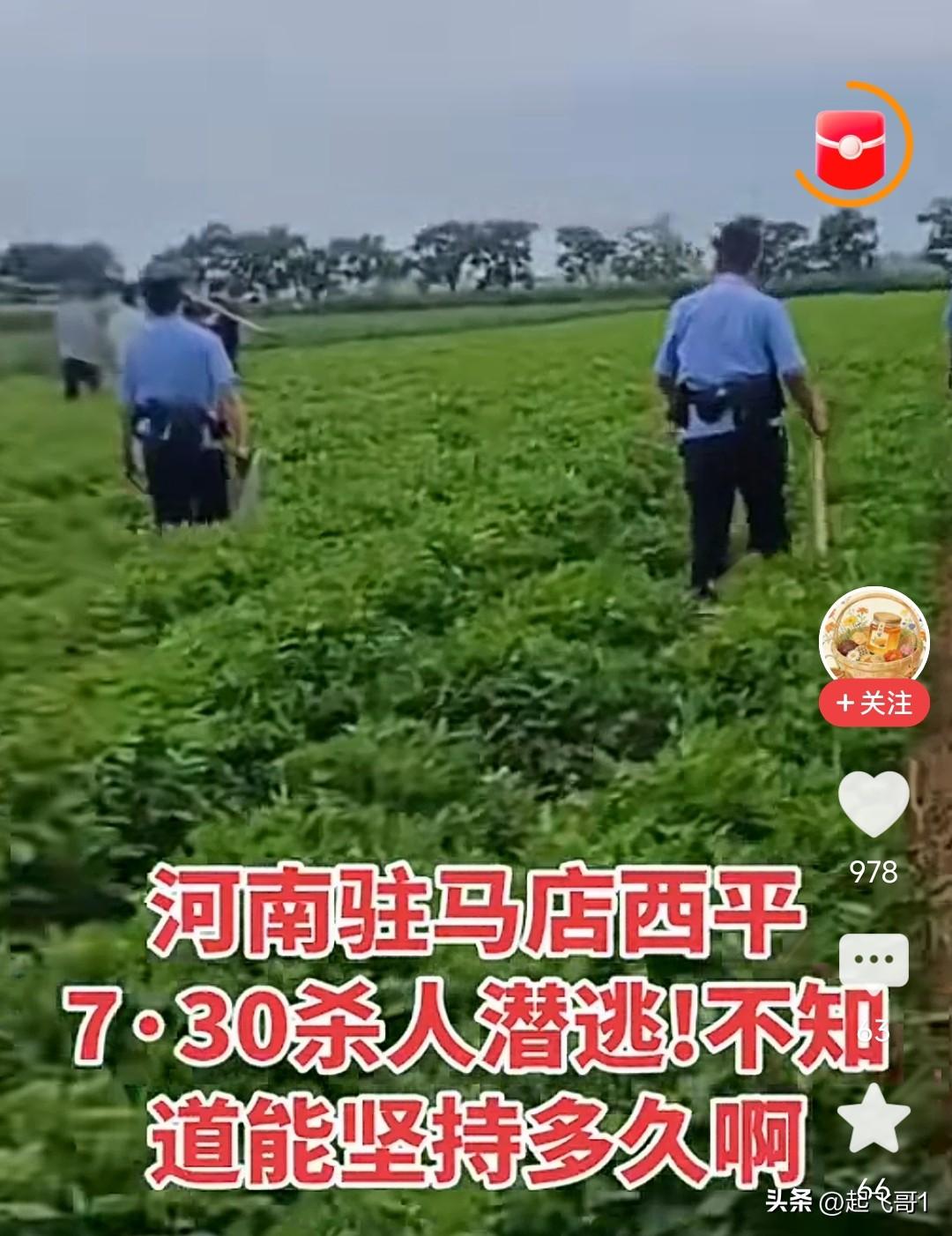 西平这个杀人犯夏付刚，跑不了啦，这白天热，晚上有蚊虫叮咬的地方。
人需要吃饭喝水