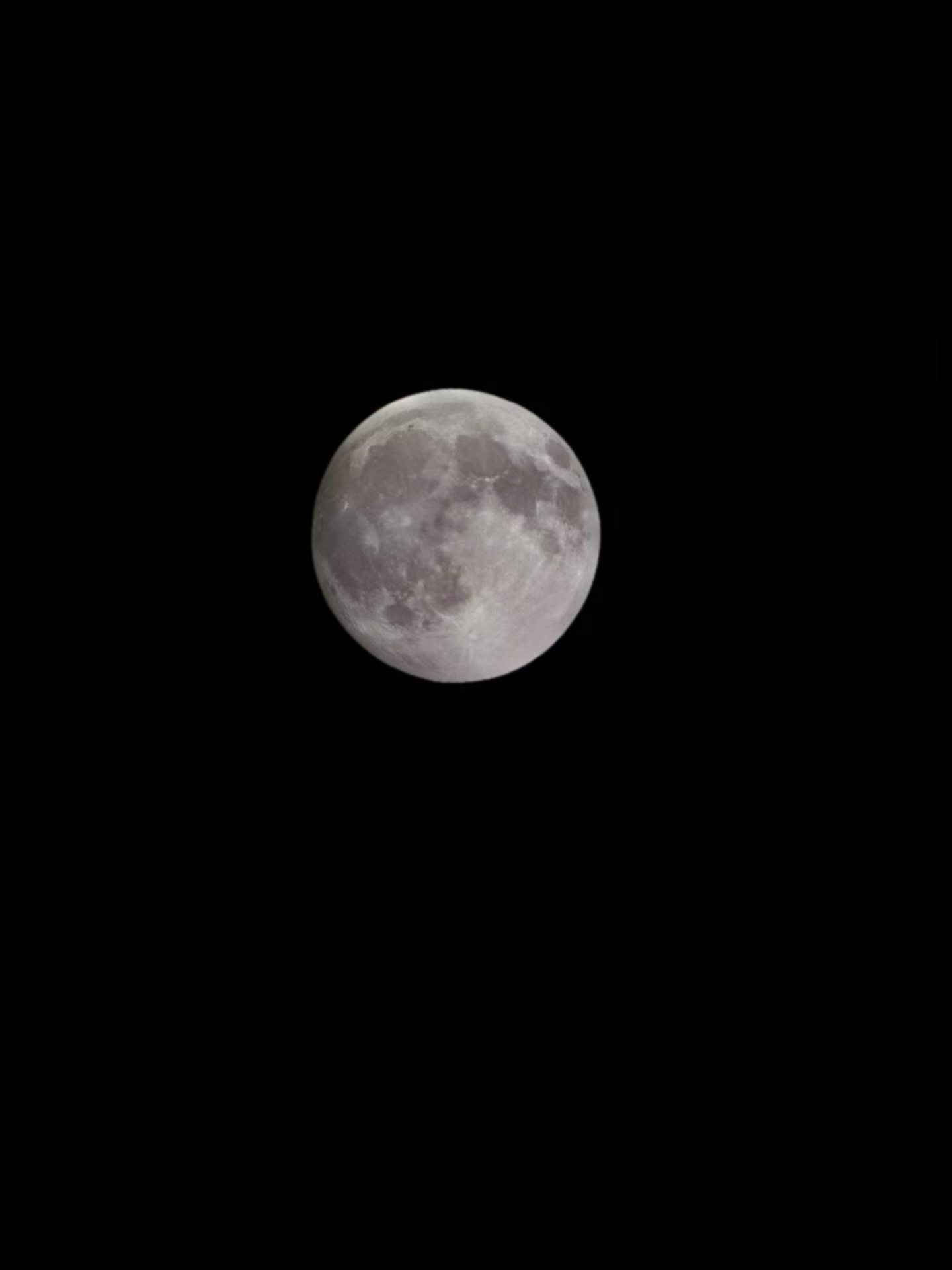 🌕 ​​​