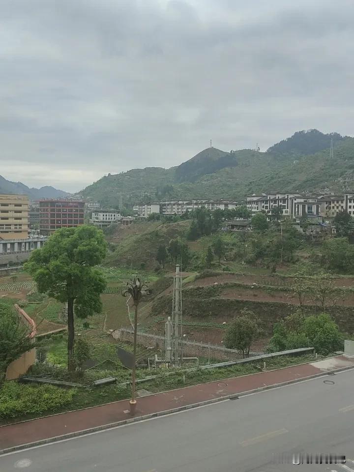 午后时光，简直是生活里的宝藏时刻。我喜欢避开城市喧嚣，找片小树林享受下午茶。阳光