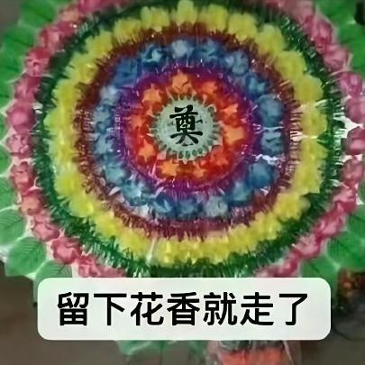 张元英说中文就要被造⃡谣⃡是中⃡国⃡人⃡ 张元英说英文就要被说韩⃡国⃡人⃡来tc