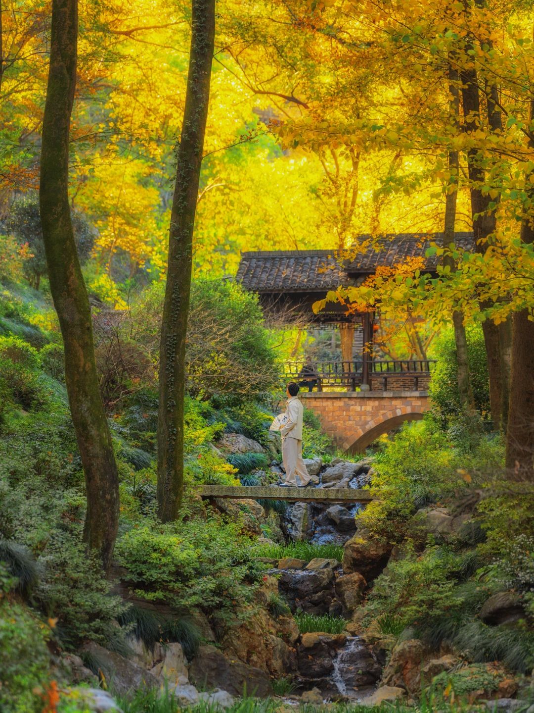 🍂不输宏村，这个小众古镇藏着皖南最美秋天